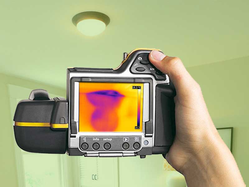 thermal imaging